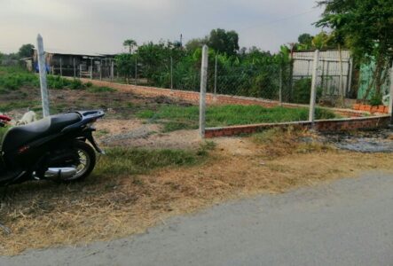 Tân Thạnh Đông - Củ Chi
