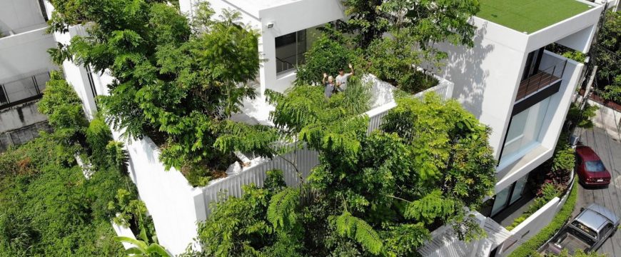 Ngôi nhà rộng 300 m2 được bao phủ bởi 120 cây xanh