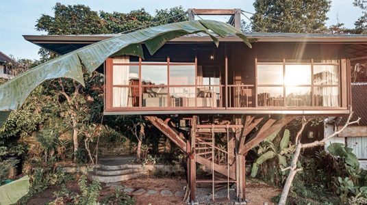 Nhà cây tuyệt đẹp, đầy đủ tiện nghi nhô lên giữa khu vườn
