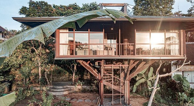 Nhà cây tuyệt đẹp, đầy đủ tiện nghi nhô lên giữa khu vườn