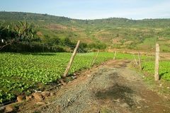 Điều kiện chuyển mục đích sử dụng đất lên thổ cư