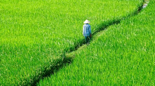 Quy định việc sử dụng đất nông nghiệp vào mục đích công ích