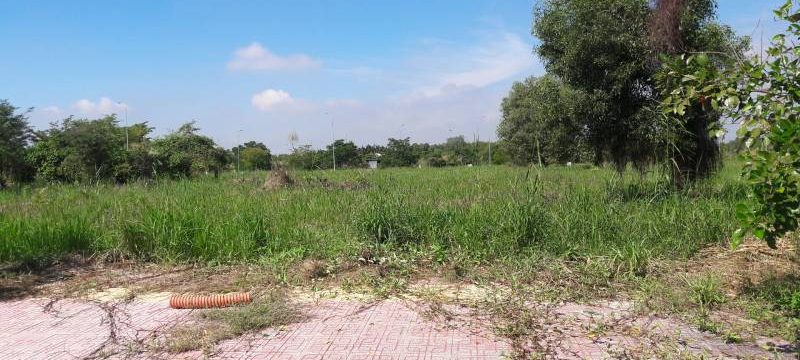 Loại đất nào không thể tách thửa: Biết rõ để tránh ôm “bom”