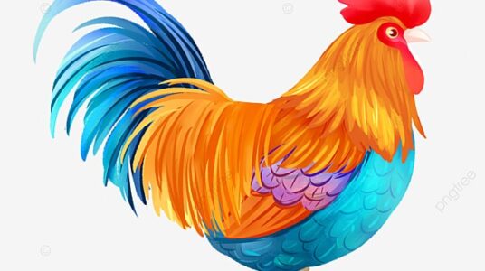 Tuổi Dậu hợp màu gì? Chọn nội thất nhà hợp phong thủy