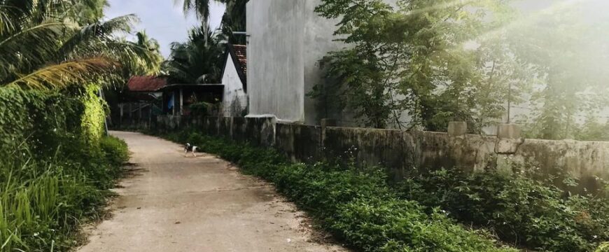 Xây nhà sai vị trí đất thổ cư: Bị phạt thế nào?