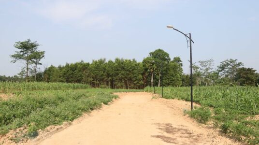 Hiến đất làm lối đi chung: Thủ tục thực hiện thế nào?