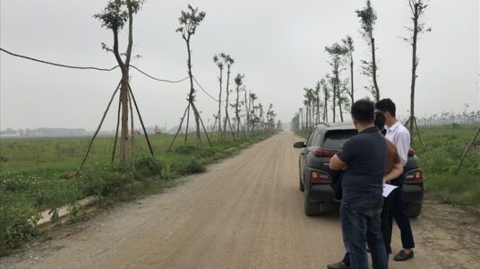 Cẩn trọng với chiêu bán nhà đất ngộp