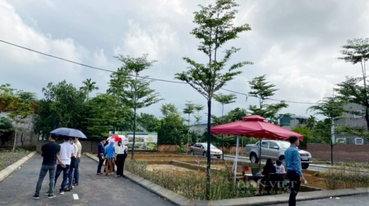 Dự báo bất ngờ về diễn biến giá đất nền phía Nam trong năm 2023