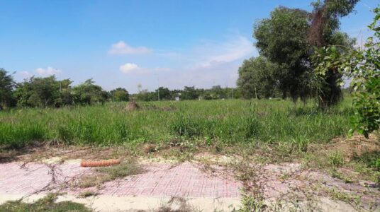 Có tên trong Sổ đăng ký ruộng đất có được cấp Giấy chứng nhận quyền sử dụng đất?