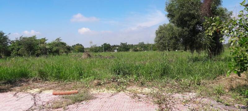 Có tên trong Sổ đăng ký ruộng đất có được cấp Giấy chứng nhận quyền sử dụng đất?