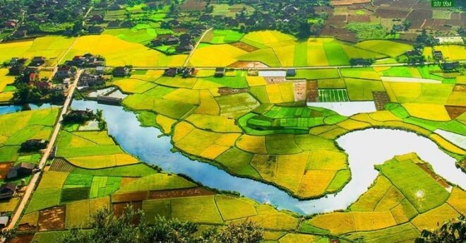 Bồi thường đất nông nghiệp 2023: Điều kiện và giá đền bù thế nào?