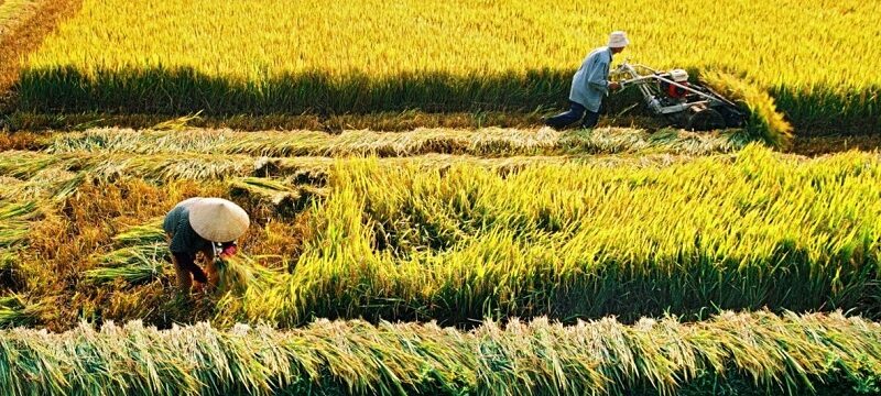 Có được xây trang trại trên đất nông nghiệp không?